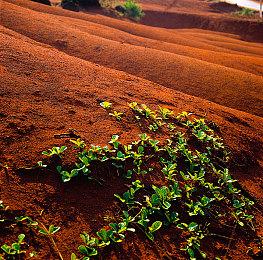 暴雪再发预告为《暗黑破坏神4》3月25日公测预热